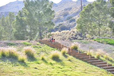 DSC_7493 (Large).JPG